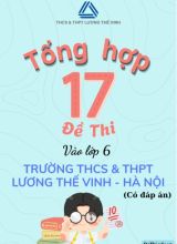 Tổng hợp 17 Đề thi vào Lớp 6 trường THCS & THPT Lương Thế Vinh - Hà Nội (Có đáp án)